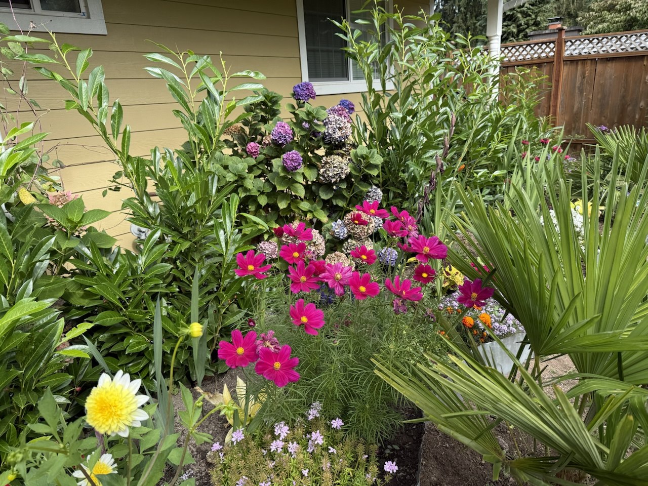 Landscaping